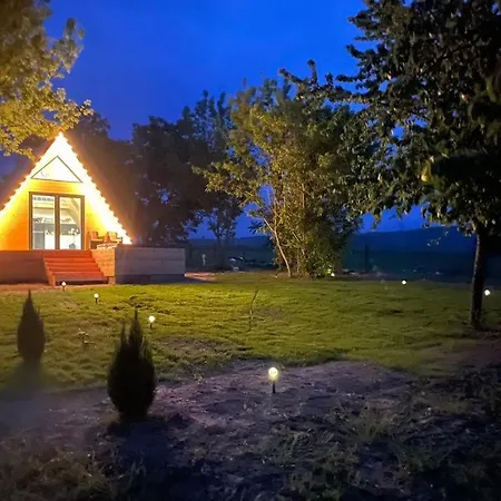 Fecske * Szolad