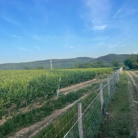 Fecske Chalé